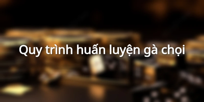 Cách huấn luyện gà chọi Việt Nam cho các trận đấu hiệu quả