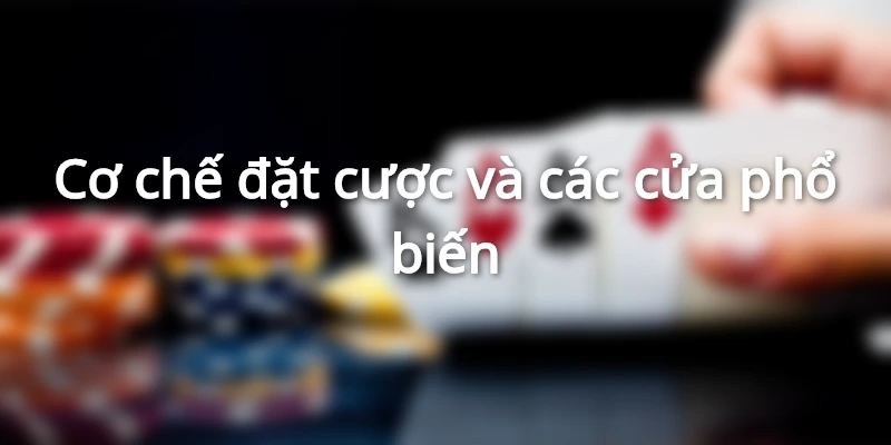 Hình minh họa cách đặt cược trên bàn xóc dĩa