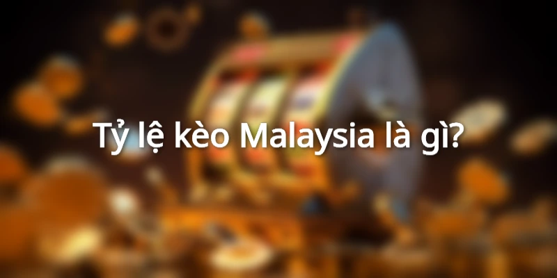 Khám phá chi tiết về tỷ lệ kèo Malaysia