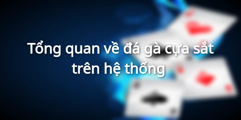 Màn đá gà cựa sắt kịch tính tại nền tảng