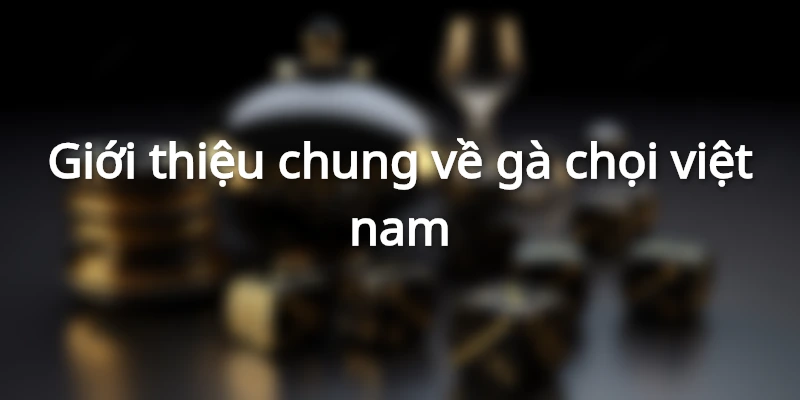Sự phổ biến của gà chọi trong nền văn hóa Việt