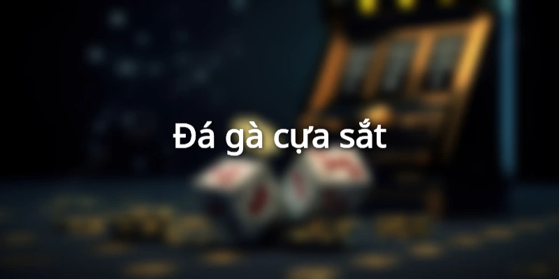 Trận đấu đá gà tại trường thi do nhà cái phát trực tiếp