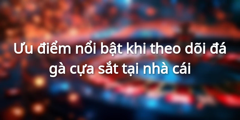 Tỷ lệ đá gà cựa sắt được cập nhật liên tục