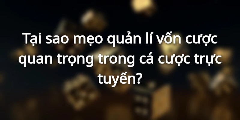 Vai trò quan trọng của quản lý nguồn vốn trong cá cược là gì?